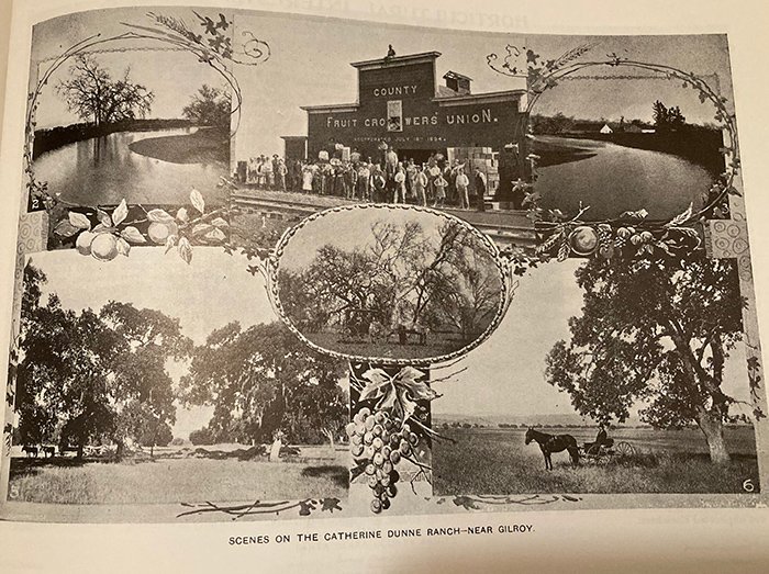 Dunne Ranch